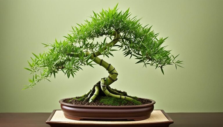 Bamboo Bonsai Plant Care Guide