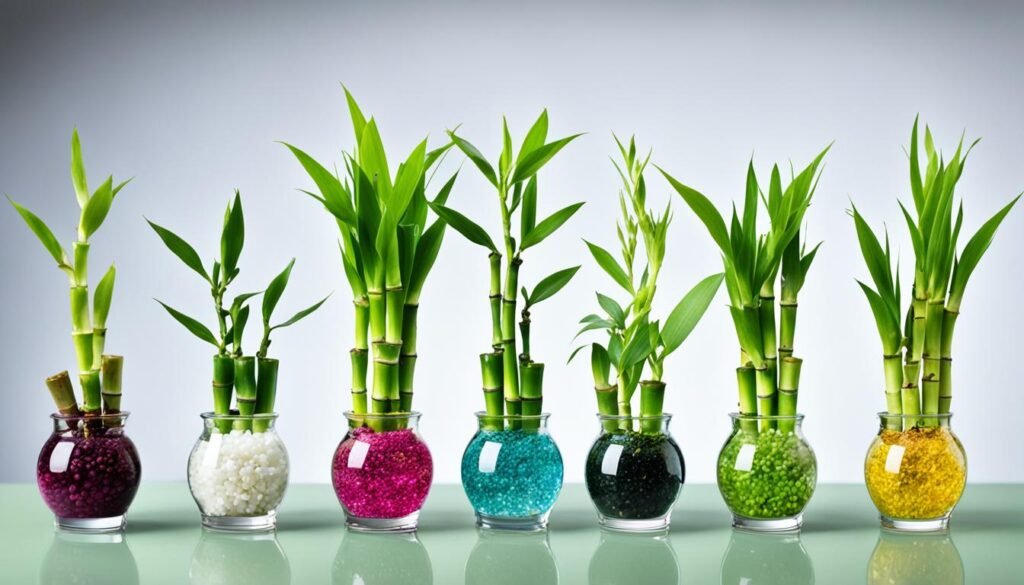 symbolism of lucky bamboo